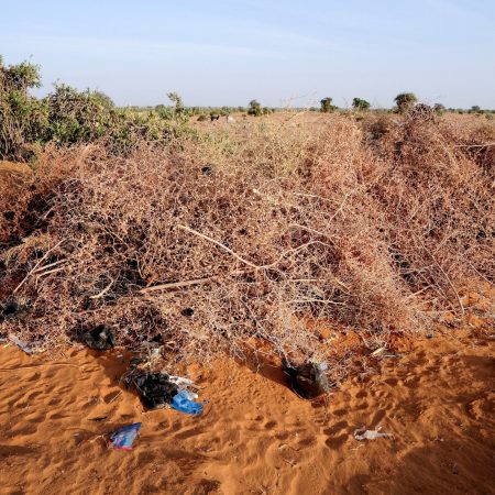 Rights group says drone strike kills 11 in central Sudan market