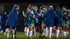 Fresh faces to managerial mayhem – NI’s qualifying campaign