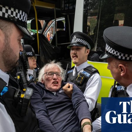 Ban on Palestine Action was lawful, court of appeal rules