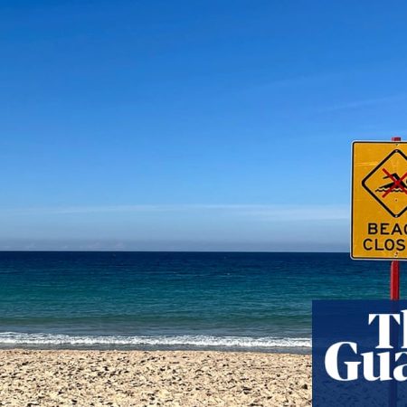 ‘There was a lot of blood in the water’: paddleboarder rescues woman after ‘shocking’ Coogee shark attack