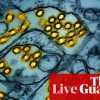 Australia news live: arrival of H5N1 bird flu a ‘genuine wildlife emergency’, experts say; fuel excise rebate extended at reduced rate