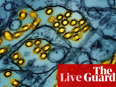 Australia news live: arrival of H5N1 bird flu a ‘genuine wildlife emergency’, experts say; fuel excise rebate extended at reduced rate