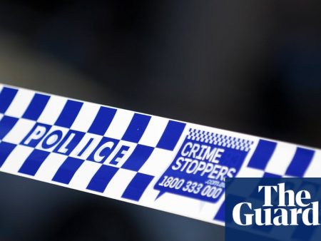Two children dead after pram hit by car in Sydney
