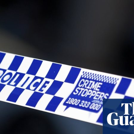 Two children dead after pram hit by car in Sydney