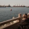 Normal shipping will not resume in strait of Hormuz until 80 mines cleared