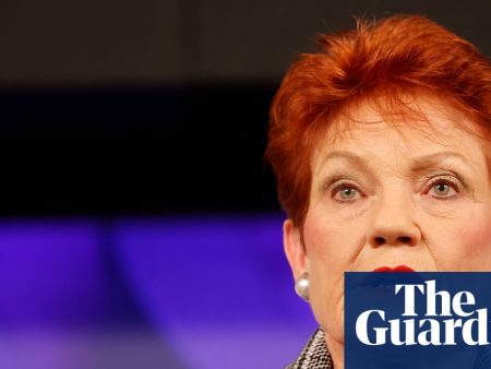 Pauline Hanson’s stance on paid parental leave and childcare could turn clock back by decades, economists warn