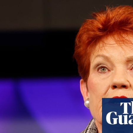 Pauline Hanson’s stance on paid parental leave and childcare could turn clock back by decades, economists warn
