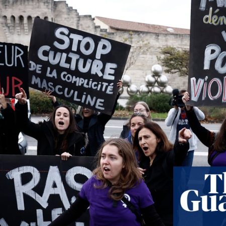French man on trial accused of raping partner after contact with Dominique Pelicot