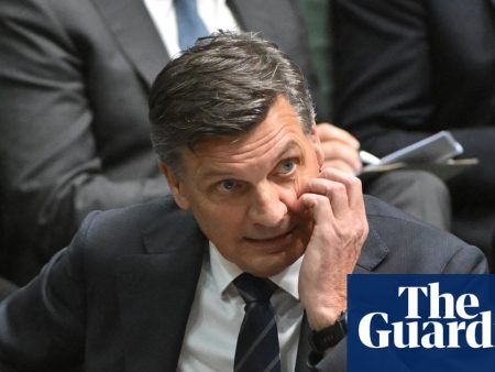 Taylor won’t say if he supports multiculturalism as Chalmers says he’s trying to ‘out-One Nation One Nation’