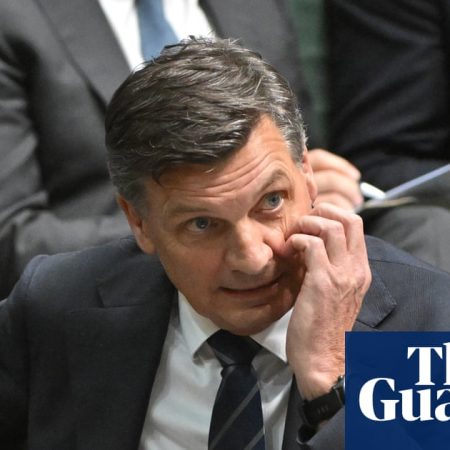 Taylor won’t say if he supports multiculturalism as Chalmers says he’s trying to ‘out-One Nation One Nation’