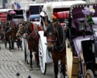 Teenager dies after being thrown from horse-drawn carriage in Central Park