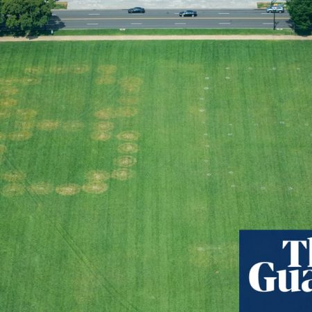 US authorities investigate huge etching of ‘8647’ on National Mall grounds