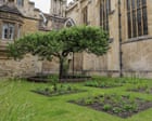 Cambridge experts recreate 336-year-old garden to commemorate ‘father of natural history’