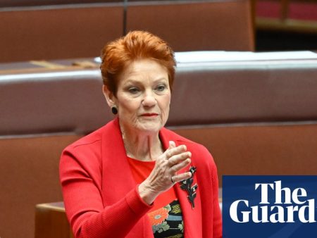 Pauline Hanson says parental leave will force small businesses to ‘fold’ – despite no law forcing employers to pay