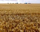Paraquat will continue to be used in Australia despite 70 countries banning weedkiller over Parkinson’s disease fears