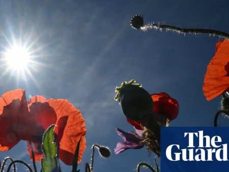 Weather tracker: Saharan heat to send temperatures soaring across Europe