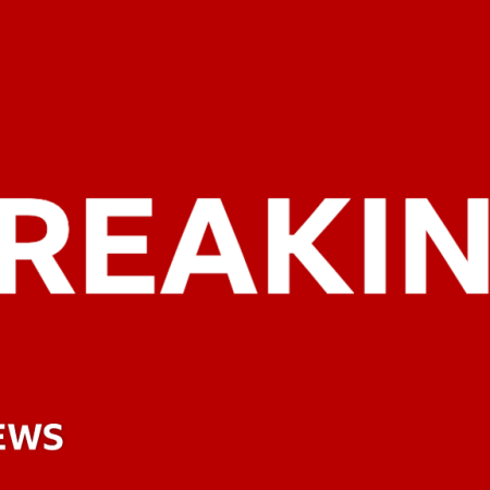 Twelve killed in mass shooting in Johannesburg, police say