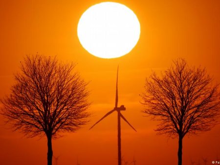 Environment wins of the week