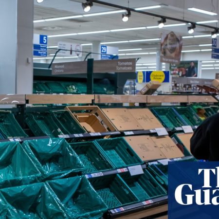 ‘Immediate national priority’: Ministers accused of complacency over UK food supply