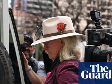 Missing boy Gus Lamont’s grandmother fined for firearms offence unrelated to his disappearance