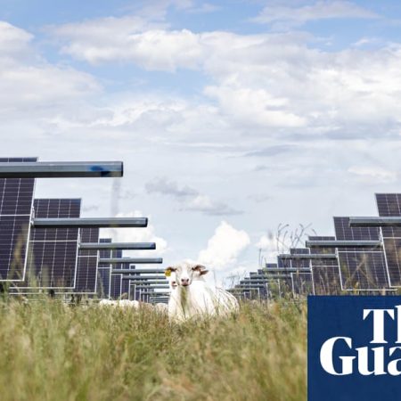 Solar generates more energy in US than coal for first time