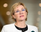 Zali Steggall expected to launch teal party after months of secret talks