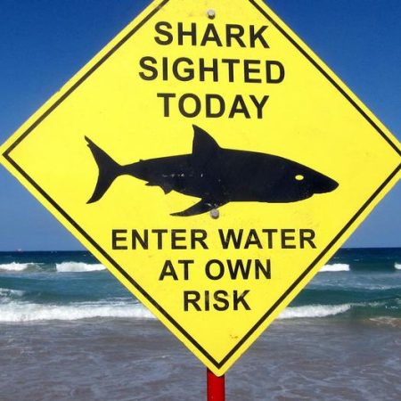 Man killed in shark attack off Western Australia