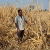 India braces for drought as El Nino threatens monsoon rains