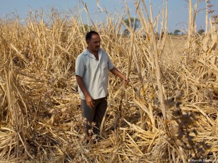 India braces for drought as El Nino threatens monsoon rains