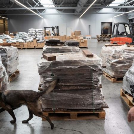 EU: Youth involvement in synthetic opioids smuggling rises