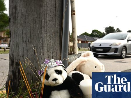 ‘I wish it hit me’: Sydney mother shares anguish after siblings in pram hit and killed by car