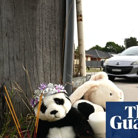 ‘I wish it hit me’: Sydney mother shares anguish after siblings in pram hit and killed by car