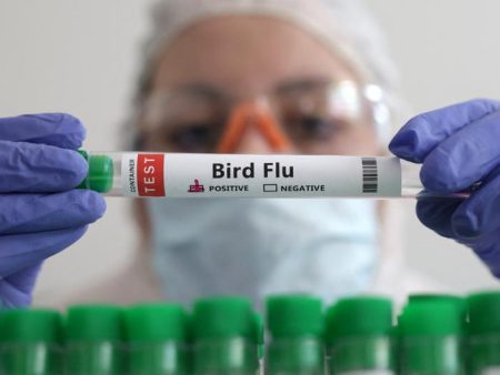 First case of H5 bird flu confirmed in Australia