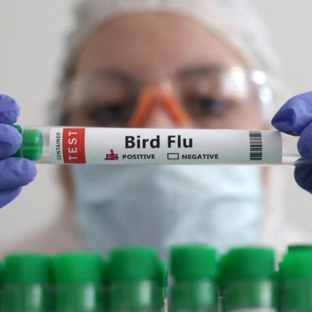 First case of H5 bird flu confirmed in Australia