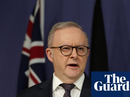 Albanese announces ‘generous’ capital gains tax exemptions for small businesses after budget backlash