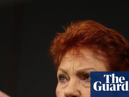 Media union blasts Pauline Hanson’s ‘bitter, unprofessional’ attack on Guardian journalist