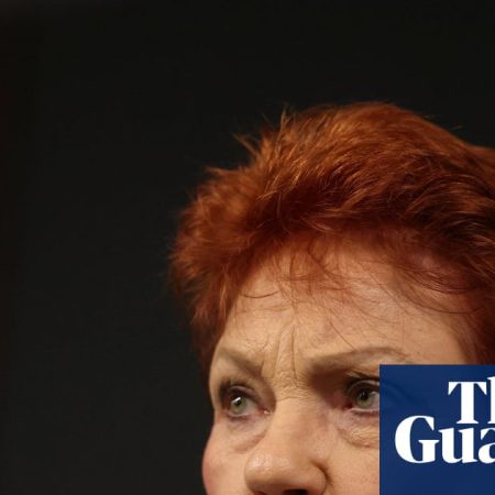 Media union blasts Pauline Hanson’s ‘bitter, unprofessional’ attack on Guardian journalist