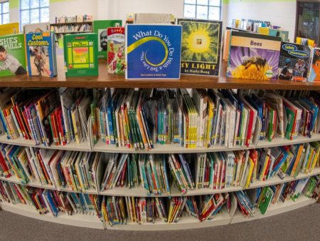 Wokeness is still alive and well in our school libraries