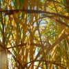 Creative climate messaging and other eco wins of the week
