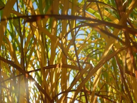 Creative climate messaging and other eco wins of the week
