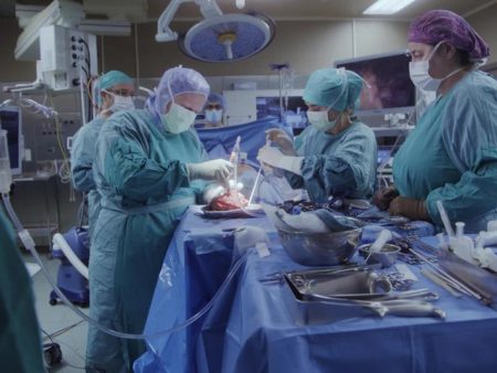 Germany considers ‘opt-out’ organ donor option
