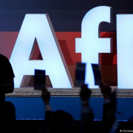 Germany news: Far-right AfD makes push in district elections