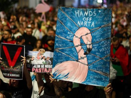 The ‘Flamingo Revolution’: What’s behind Albania’s protests?