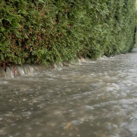 Germany news: Summer thunderstorms wreak havoc