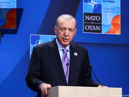 Turkey arrests more than 200 in crackdown before NATO summit