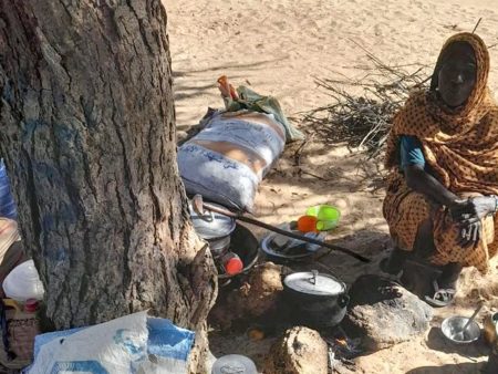 Escaping Darfur: Mothers face starvation under trees in Chad