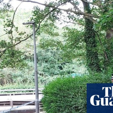 Three teenagers arrested over death of man in Essex