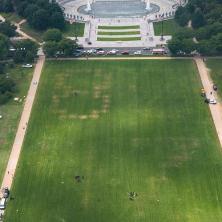 Massive ’86 47′ appears on National Mall days before Trump’s birthday UFC match