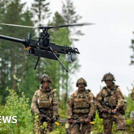 Delays to defence plan undermine UK credibility, MPs say