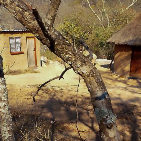 Zimbabwe’s climate migrants fear eviction as crackdown intensifies